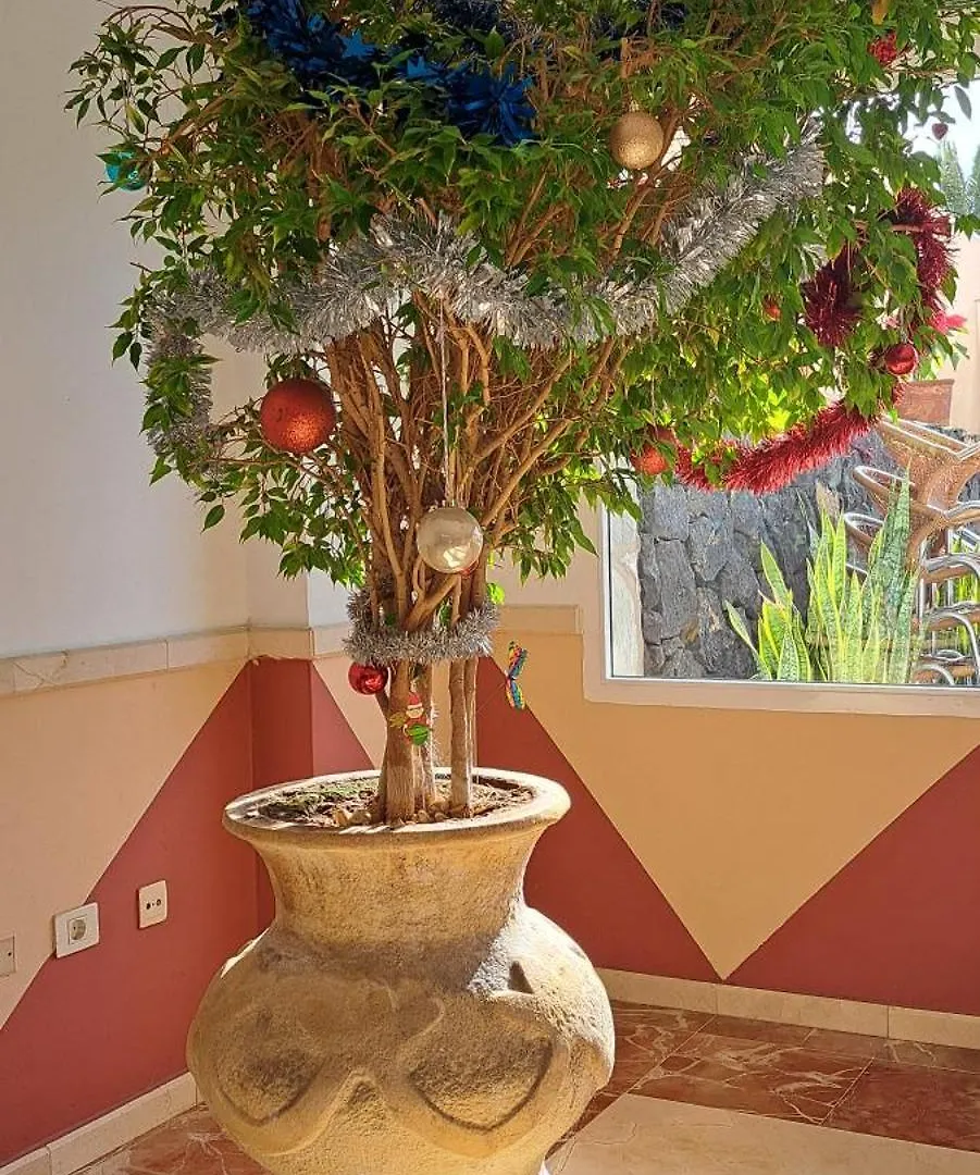 Casa Bonita Lägenhet Palm-mar